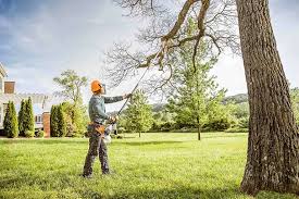 How Our Tree Care Process Works  in  Piqua, OH